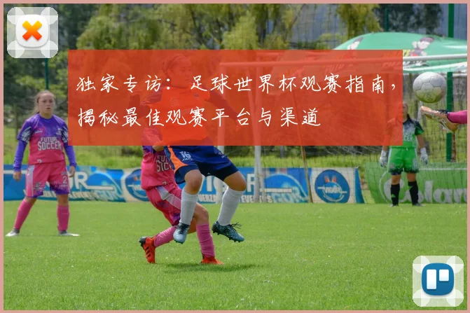 独家专访：足球世界杯观赛指南，揭秘最佳观赛平台与渠道