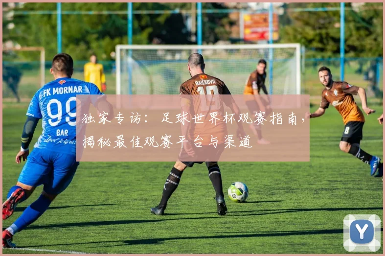 独家专访：足球世界杯观赛指南，揭秘最佳观赛平台与渠道
