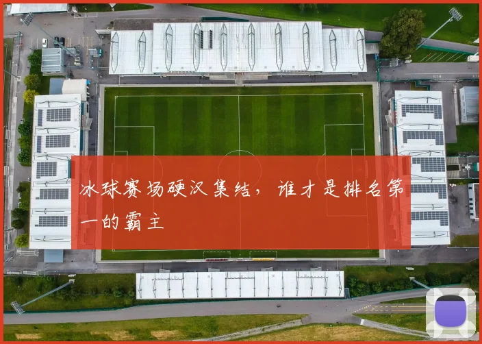 冰球赛场硬汉集结，谁才是排名第一的霸主